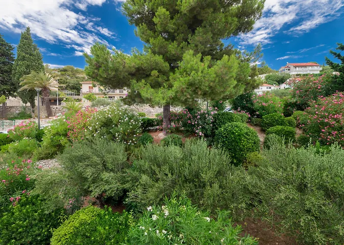 Hotel Amfora Hvar Grand Hvar Town